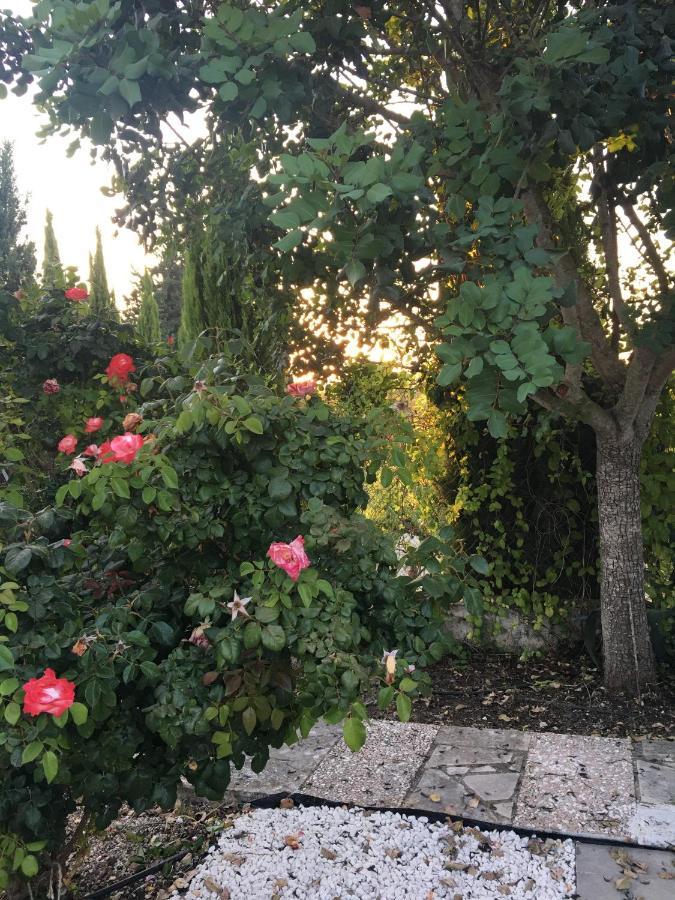 Demelida Villa In Tsada, Paphos Tsadha 외부 사진