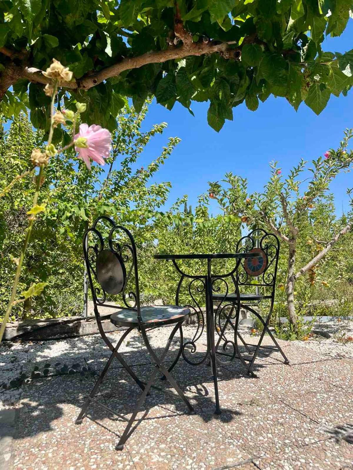 Demelida Villa In Tsada, Paphos Tsadha 외부 사진